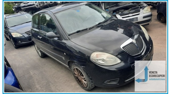 LANCIA YPSILON TE del 2007 parti usate e ricambi - Tipo Motore 199A2000