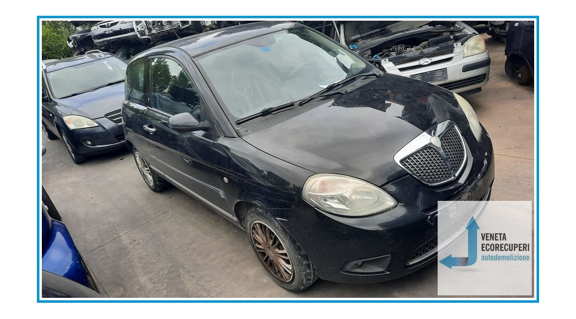 LANCIA YPSILON TE del 2007 parti usate e ricambi - Tipo Motore 199A2000
