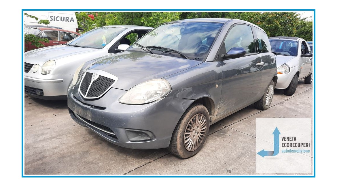 LANCIA YPSILON TE del 2006 parti usate e ricambi - Tipo Motore 199A2000