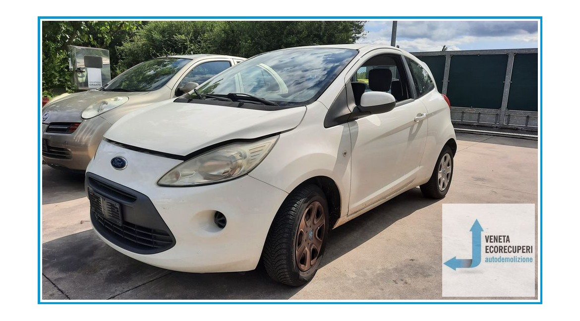 FORD KA CCU del 2009 parti usate e ricambi - Tipo Motore 169A4000