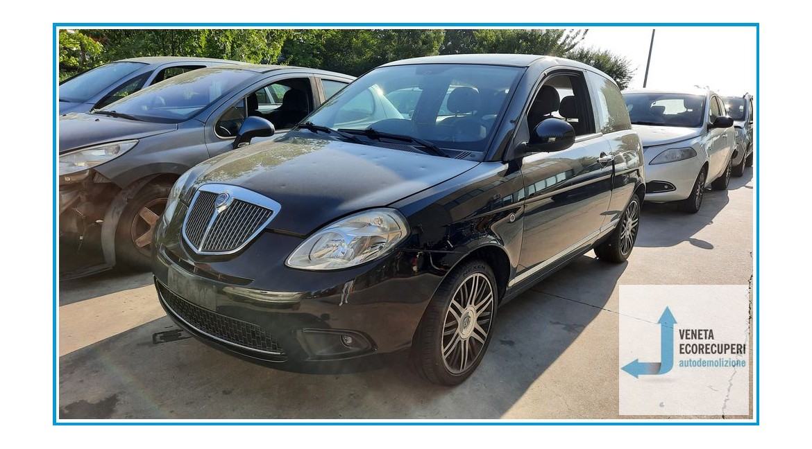 LANCIA YPSILON TI del 2010 parti usate e ricambi - Tipo Motore 169A4000