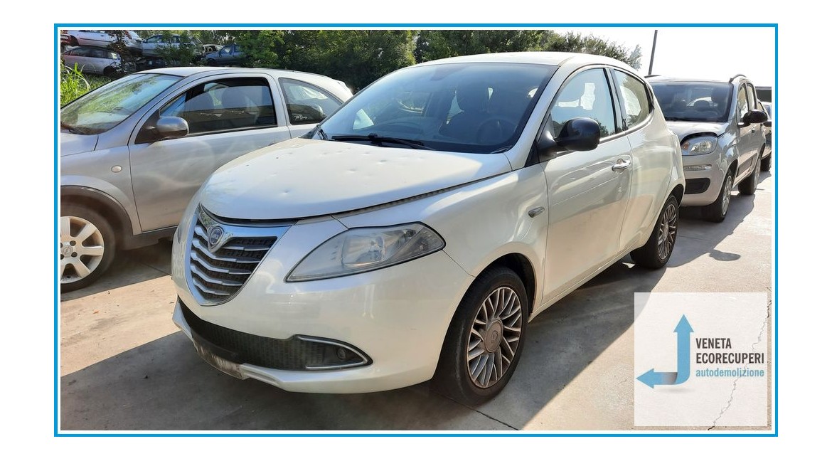 LANCIA YPSILON TK del 2011 parti usate e ricambi - Tipo Motore 199B1000