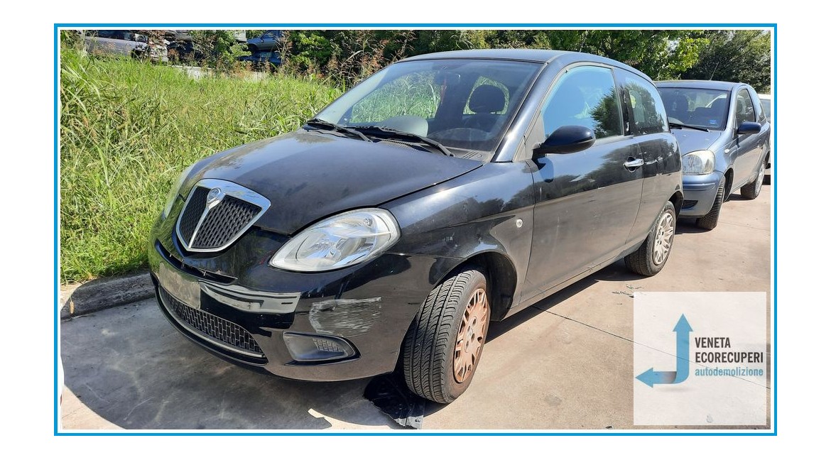 LANCIA YPSILON TE del 2008 parti usate e ricambi - Tipo Motore 188A4000