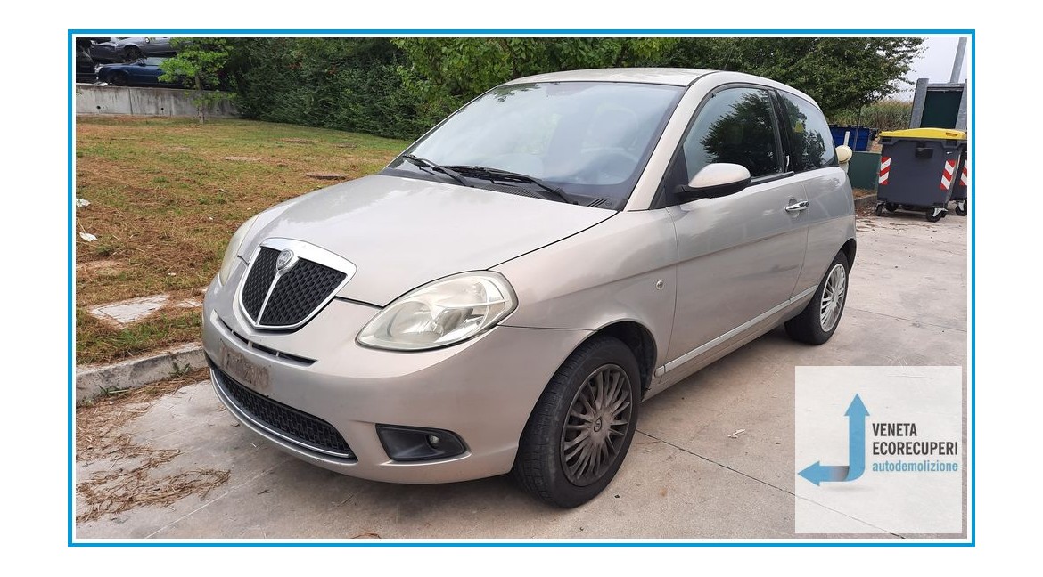 LANCIA YPSILON TE del 2007 parti usate e ricambi - Tipo Motore 199A2000