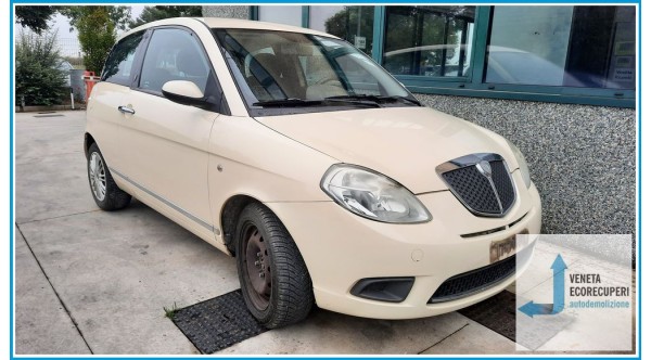 LANCIA YPSILON TE del 2007 parti usate e ricambi - Tipo Motore 350A1000