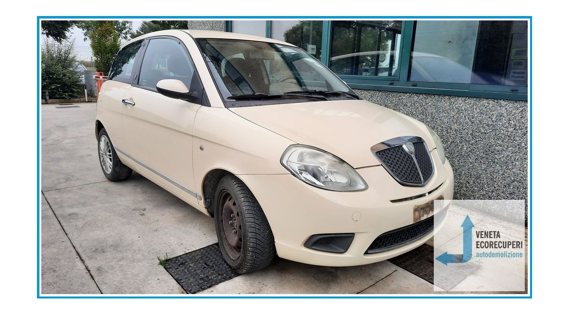 LANCIA YPSILON TE del 2007 parti usate e ricambi - Tipo Motore 350A1000