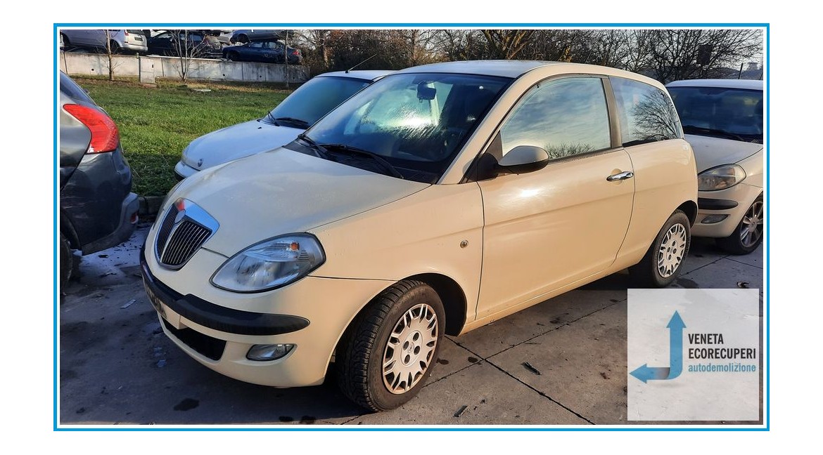 LANCIA YPSILON TE del 2006 parti usate e ricambi - Tipo Motore 843A1000