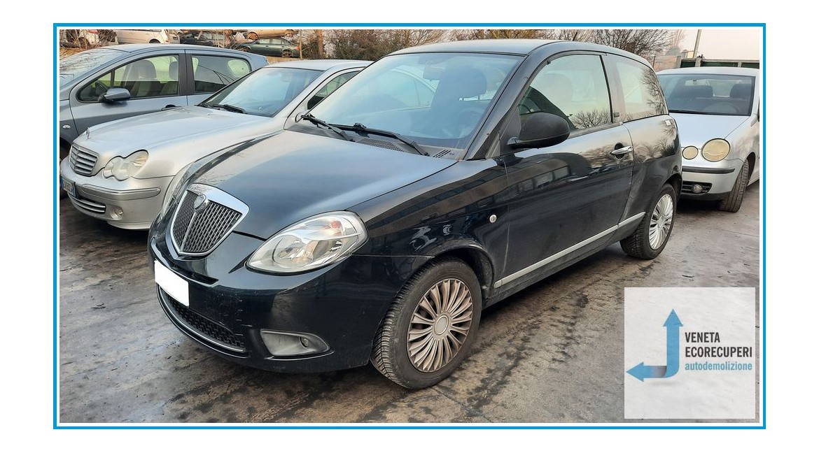 LANCIA YPSILON TI del 2010 parti usate e ricambi - Tipo Motore 169A4000