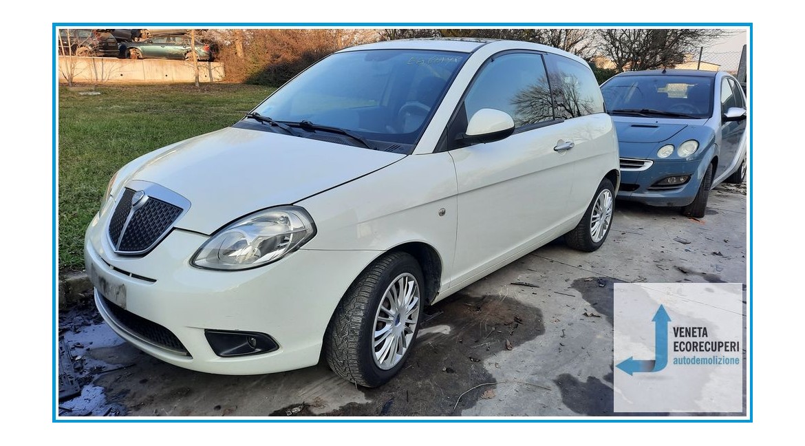 LANCIA YPSILON TI del 2010 parti usate e ricambi - Tipo Motore 188A4000