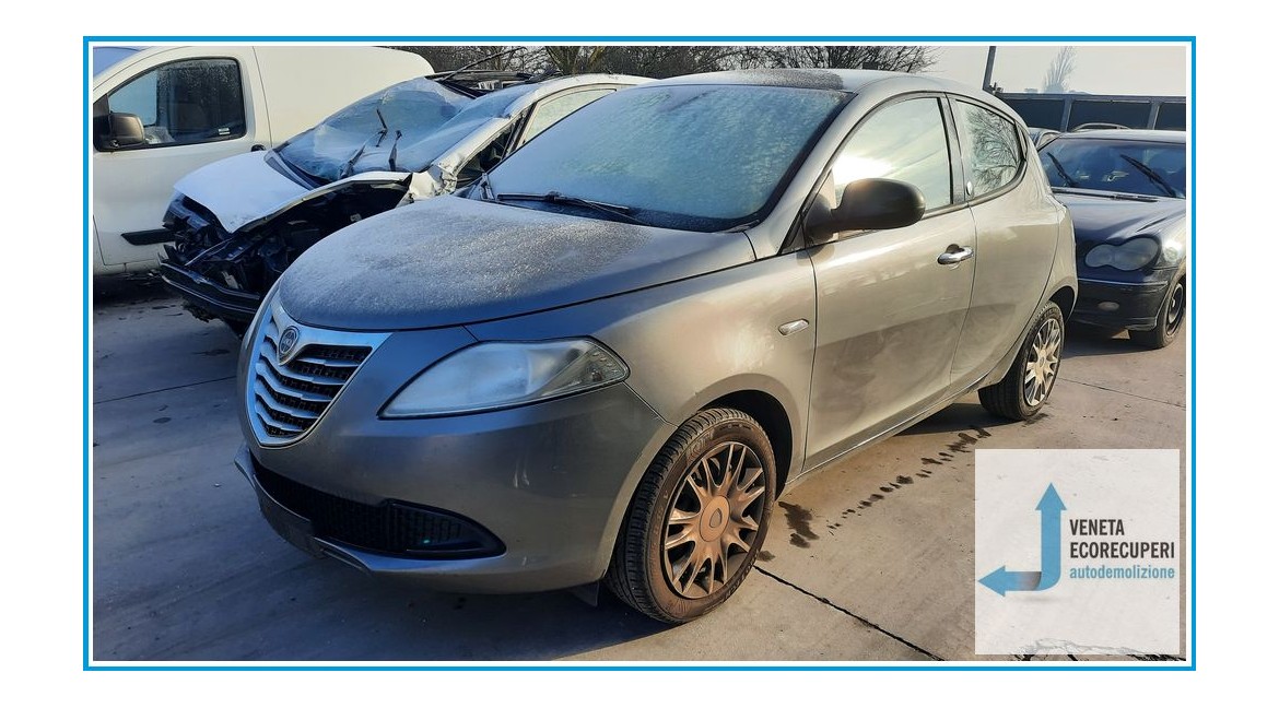 LANCIA YPSILON TK del 2013 parti usate e ricambi - Tipo Motore 169A4000
