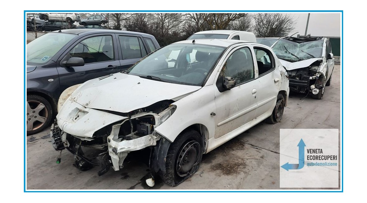 PEUGEOT 206 Plus  del 2010 parti usate e ricambi - Tipo Motore HFX