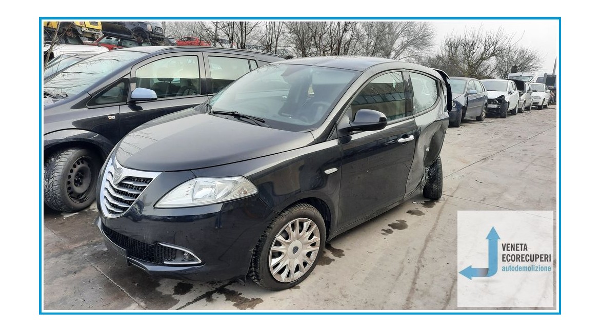 LANCIA YPSILON TK del 2013 parti usate e ricambi - Tipo Motore 169A4000