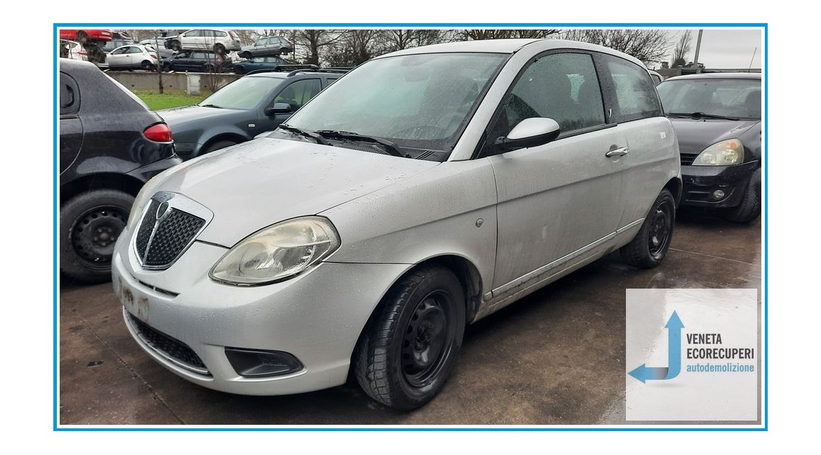 LANCIA YPSILON TE del 2008 parti usate e ricambi - Tipo Motore 188A4000