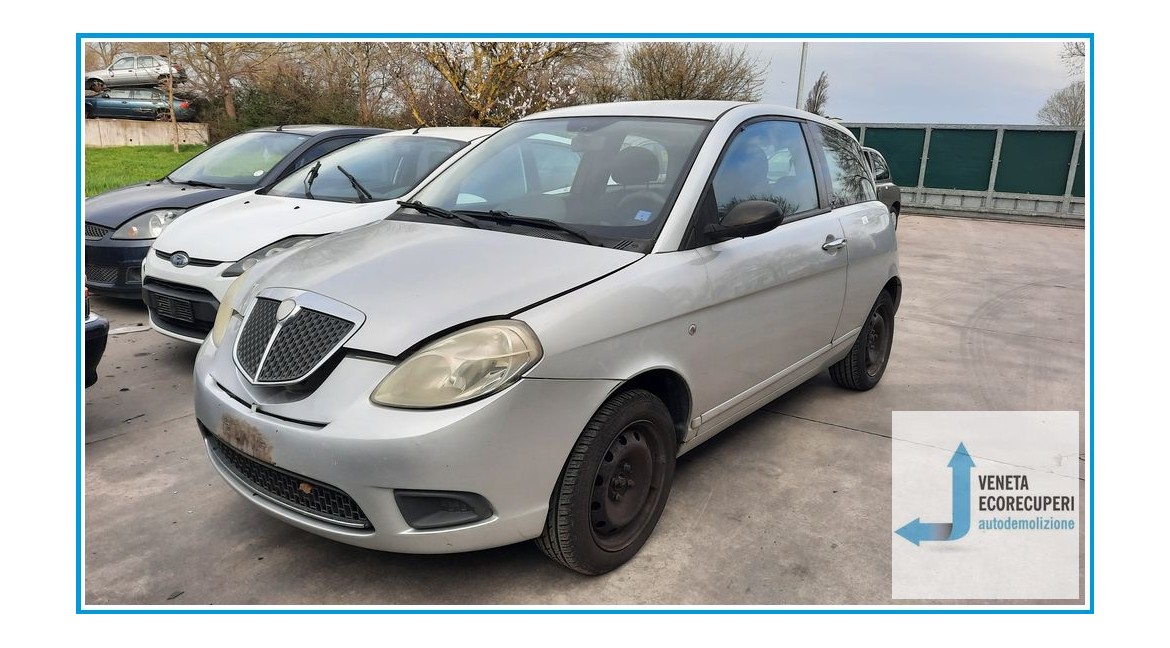 LANCIA YPSILON TE del 2007 parti usate e ricambi - Tipo Motore 188A4000