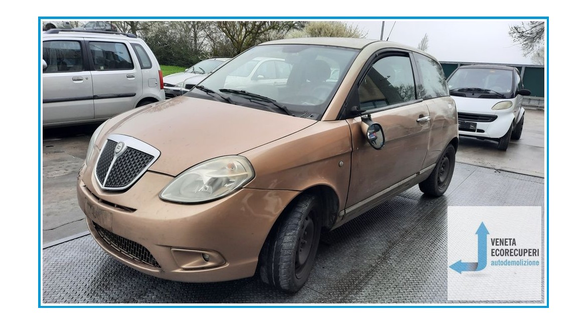 LANCIA YPSILON TE del 2007 parti usate e ricambi - Tipo Motore 188A4000
