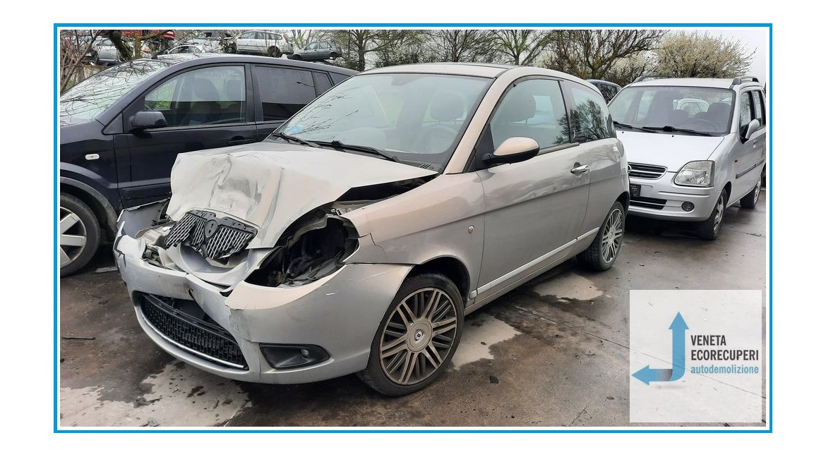 LANCIA YPSILON TE del 2007 parti usate e ricambi - Tipo Motore 843A1000
