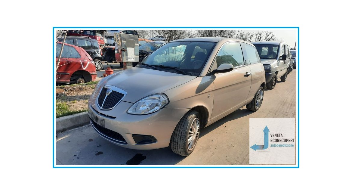 LANCIA YPSILON TE del 2008 parti usate e ricambi
