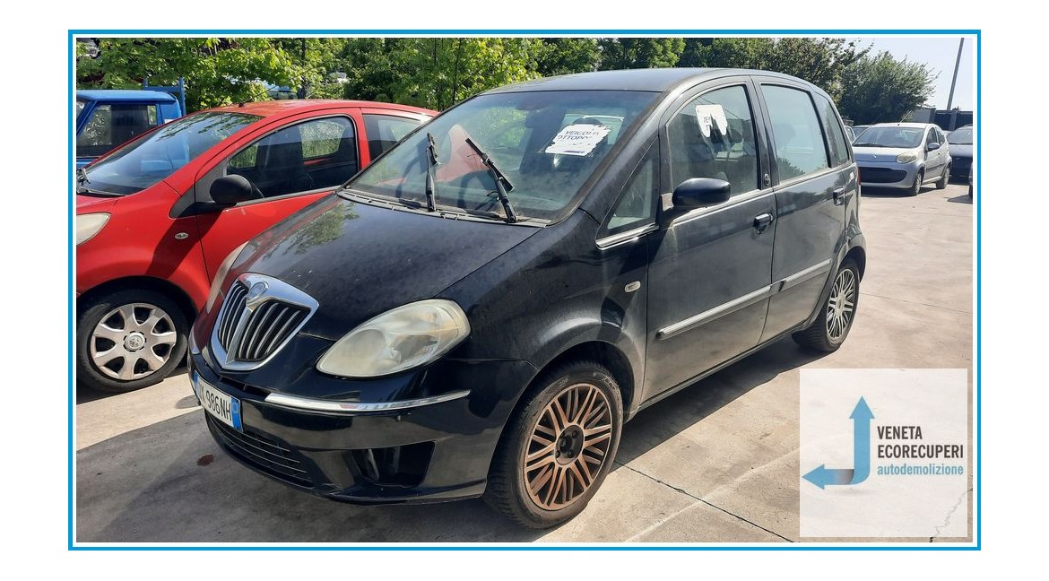 LANCIA MUSA TJ del 2009 parti usate e ricambi - Tipo Motore 350A1000