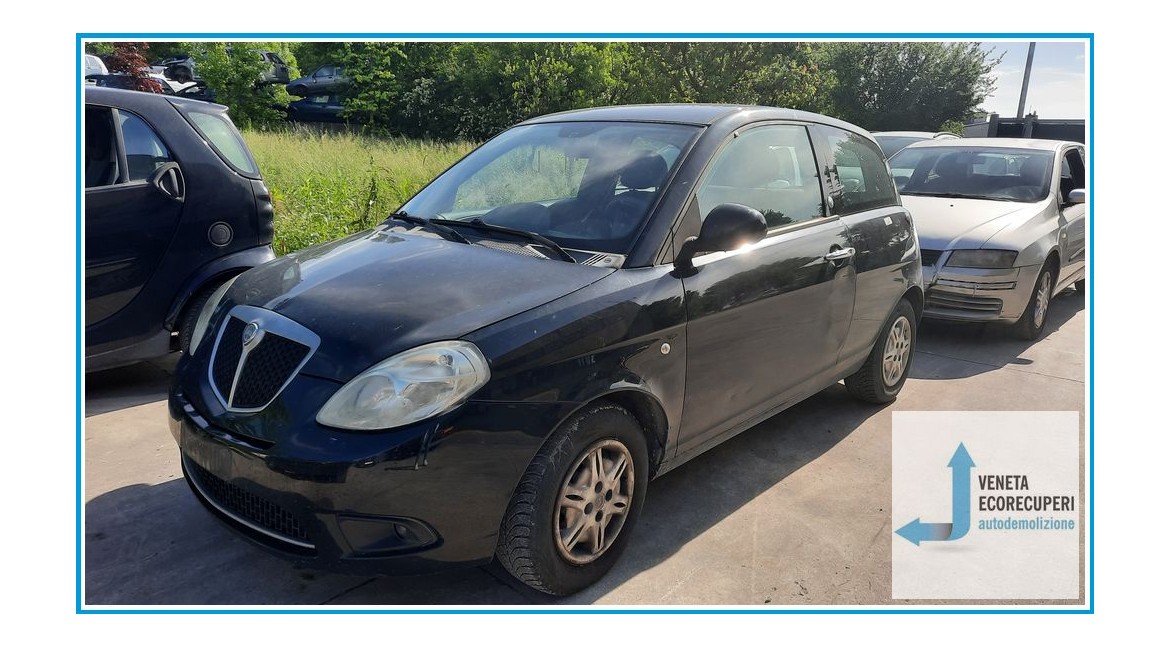 LANCIA YPSILON TI del 2009 parti usate e ricambi - Tipo Motore 350A1000