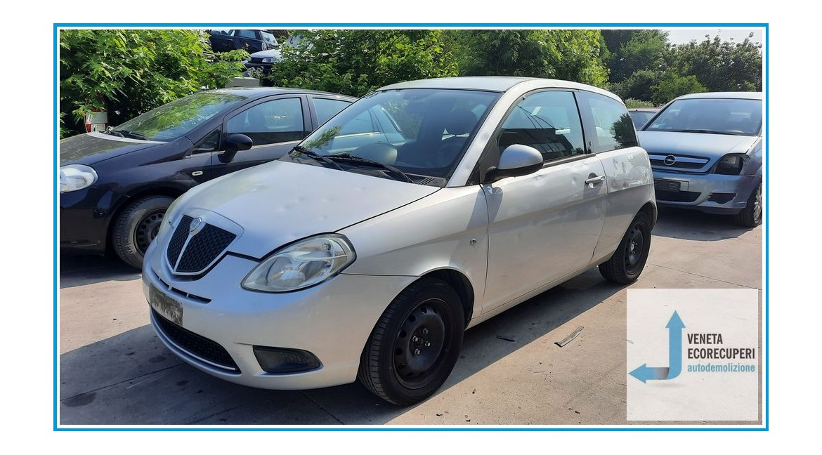 LANCIA YPSILON TI del 2010 parti usate e ricambi - Tipo Motore 188A4000