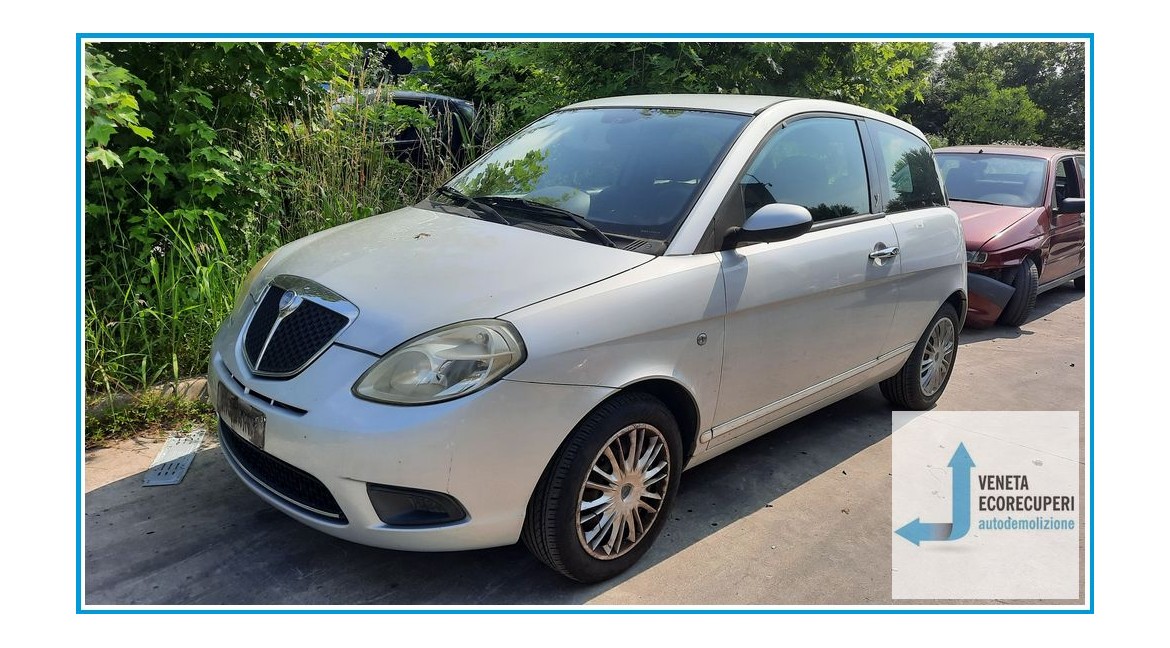 LANCIA YPSILON TE del 2007 parti usate e ricambi - Tipo Motore 188A4000