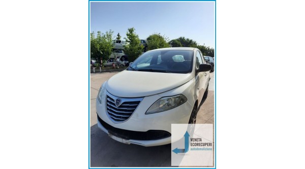 LANCIA YPSILON TK del 2013 parti usate e ricambi - Tipo Motore 169A4000