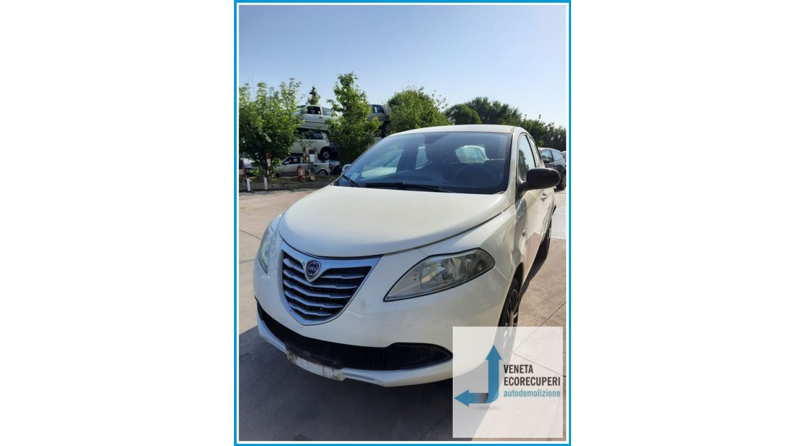 LANCIA YPSILON TK del 2013 parti usate e ricambi - Tipo Motore 169A4000