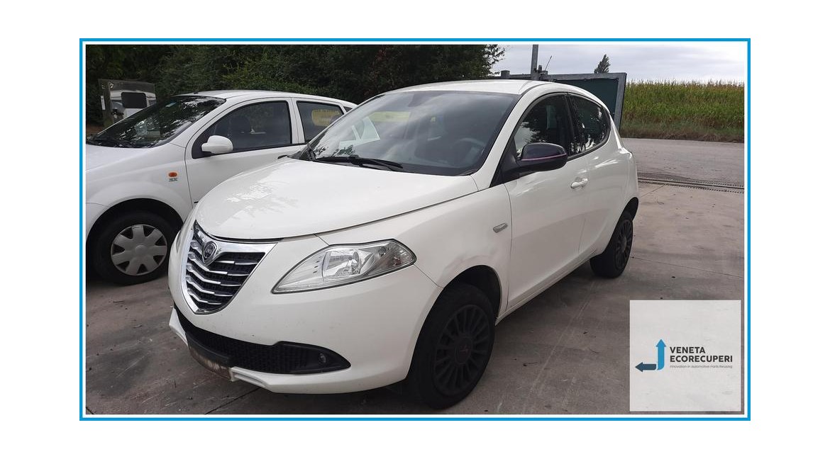 LANCIA YPSILON TK del 2013 parti usate e ricambi - Tipo Motore 312A2000