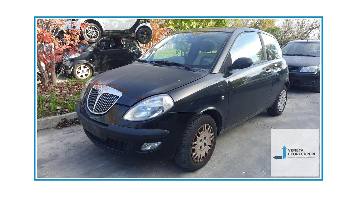 LANCIA YPSILON TE del 2006 parti usate e ricambi - Tipo Motore 188A4000