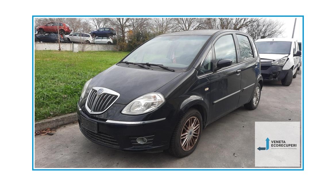 LANCIA MUSA TJ del 2009 parti usate e ricambi - Tipo Motore 843A1000