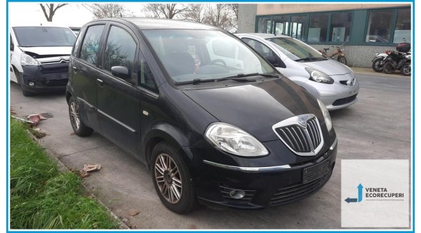 LANCIA MUSA TJ del 2009 parti usate e ricambi - Tipo Motore 843A1000