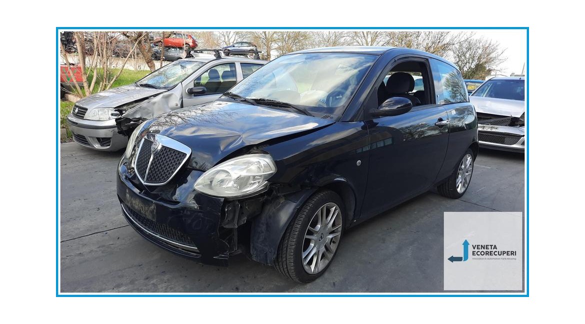 LANCIA YPSILON TE del 2008 parti usate e ricambi - Tipo Motore 188A4000
