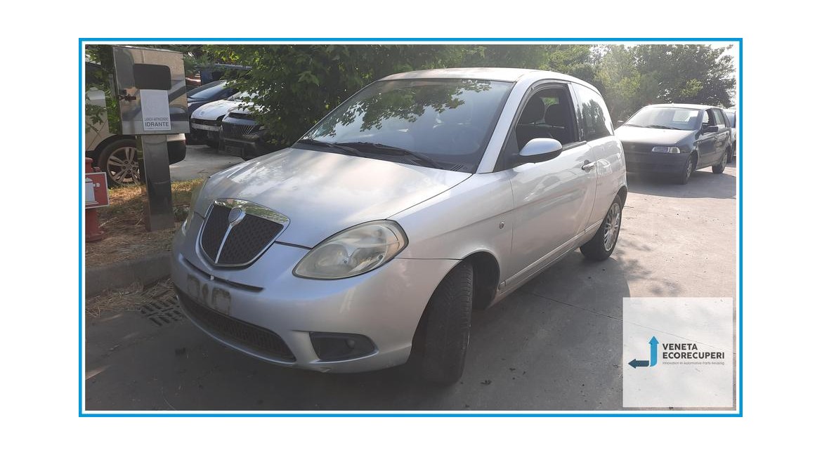 LANCIA YPSILON TE del 2007 parti usate e ricambi - Tipo Motore 199A2000