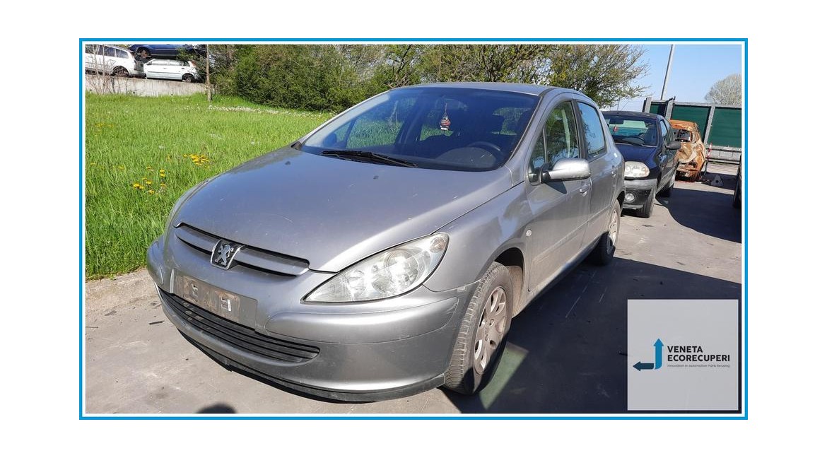 PEUGEOT 307  del 2002 parti...