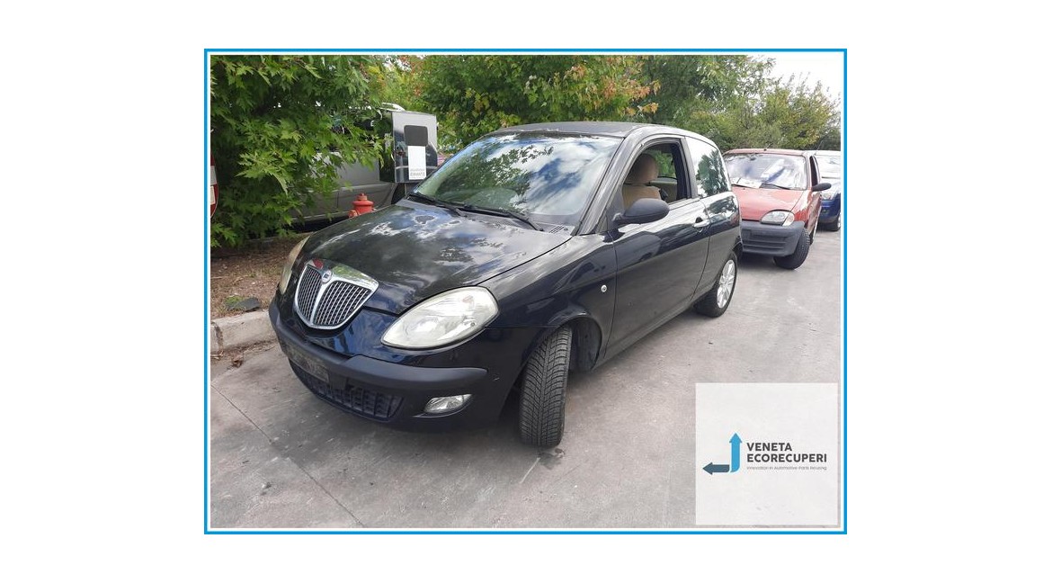 LANCIA YPSILON TE del 2006 parti usate e ricambi - Tipo Motore 188A4000