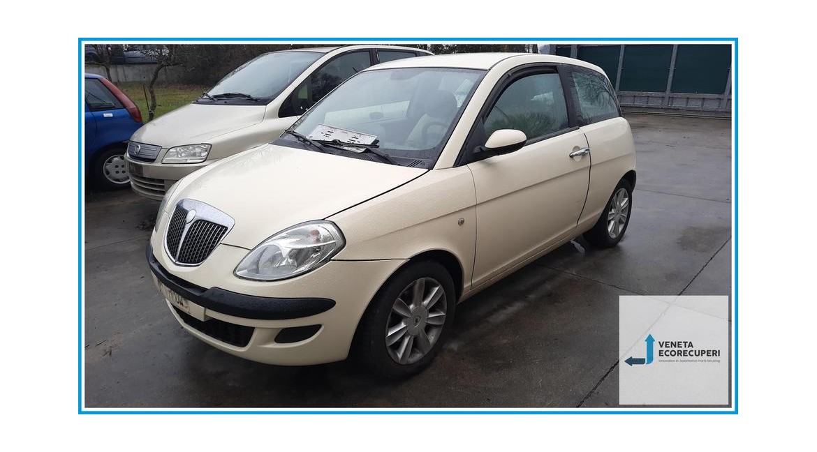 LANCIA YPSILON TE del 2004 parti usate e ricambi - Tipo Motore 188A4000