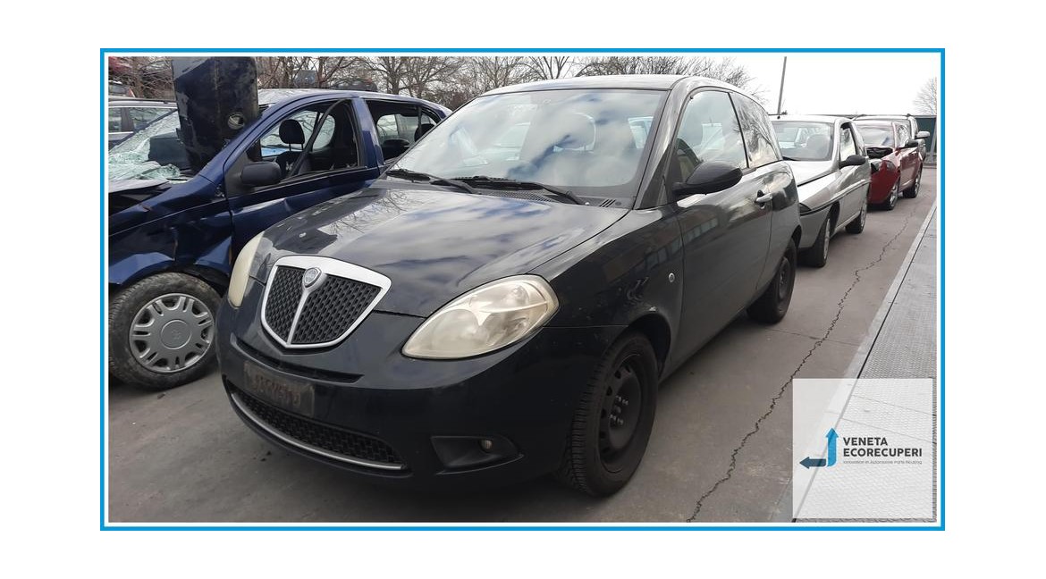 LANCIA YPSILON TI del 2009 parti usate e ricambi - Tipo Motore 350A1000