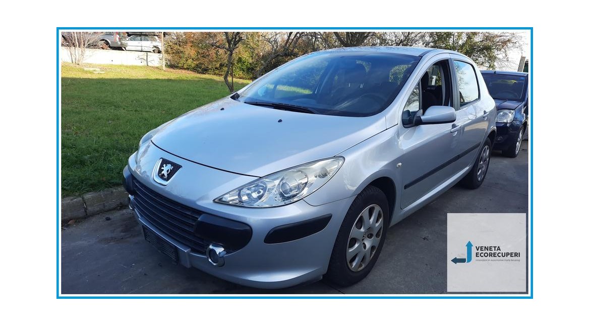 PEUGEOT 307  del 2005 parti usate e ricambi - Tipo Motore 9HX