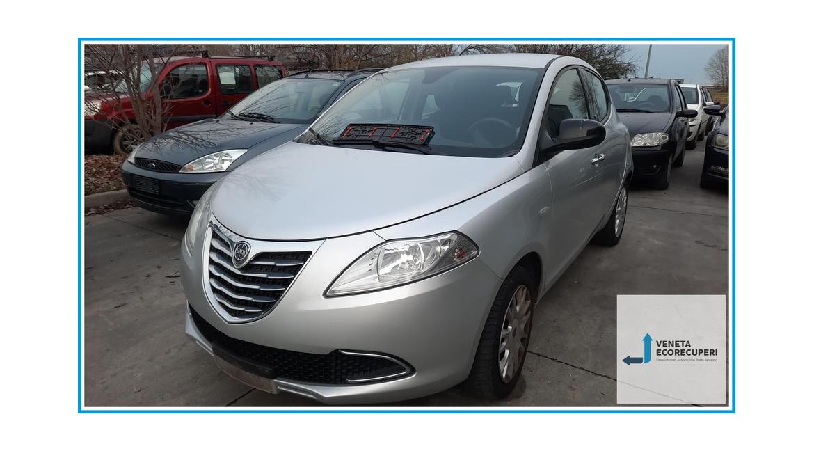 LANCIA YPSILON TK del 2013 parti usate e ricambi - Tipo Motore 169A4000