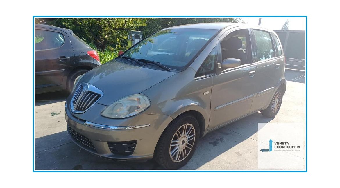 LANCIA MUSA TJ del 2008 parti usate e ricambi - Tipo Motore 188A9000