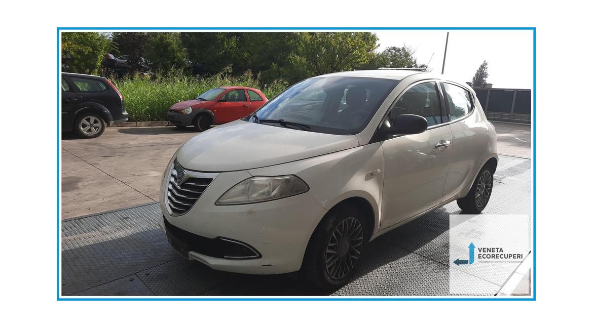LANCIA YPSILON TK del 2011 parti usate e ricambi - Tipo Motore 169A4000