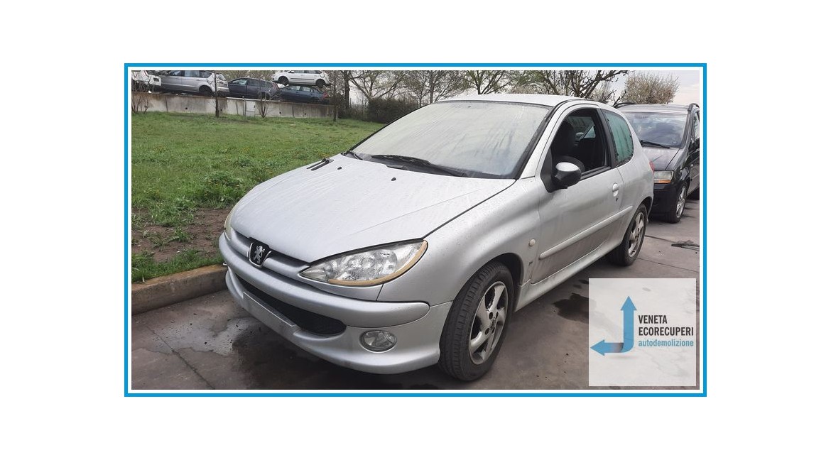 PEUGEOT 206  del 2004 parti usate e ricambi