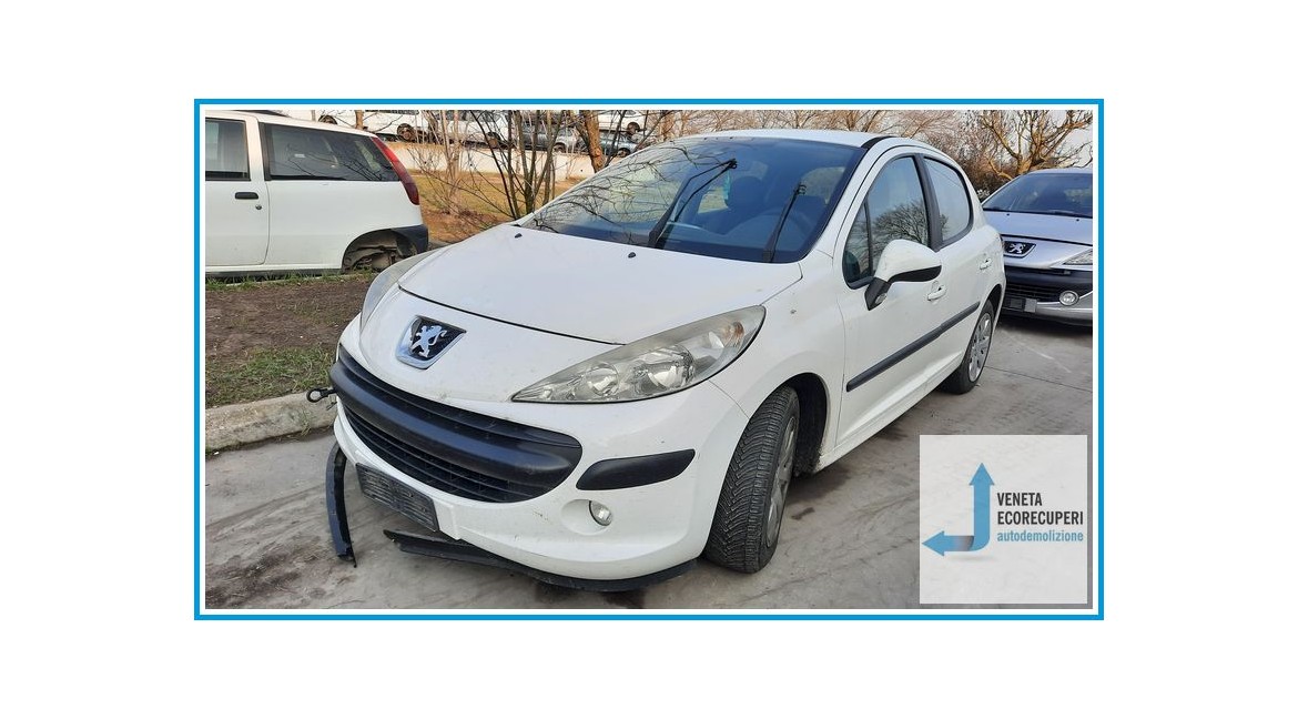 PEUGEOT 207  del 2009 parti usate e ricambi