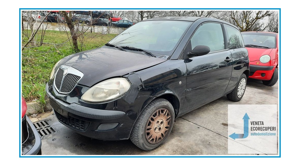 LANCIA YPSILON TE del 2006 parti usate e ricambi - Tipo Motore 188A4000