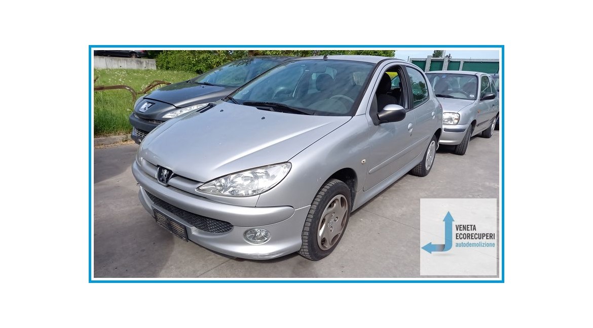 PEUGEOT 206  del 2005 parti usate e ricambi