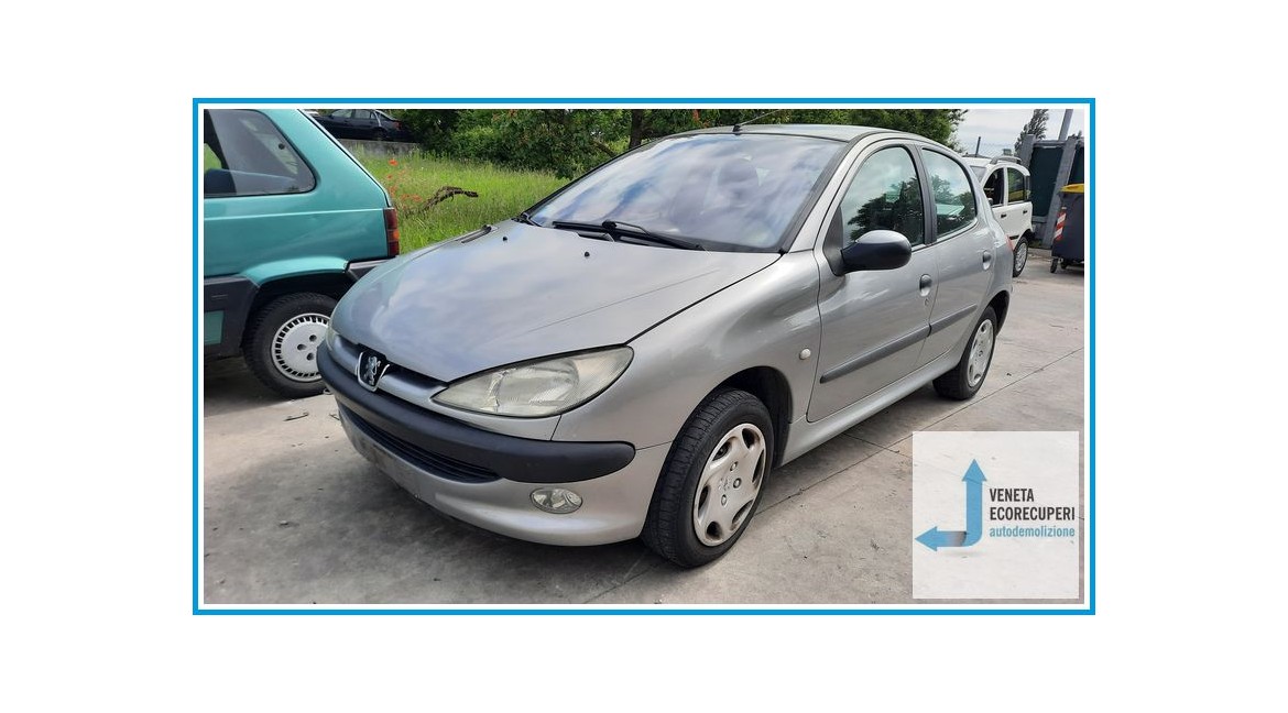 PEUGEOT 206  del 2002 parti usate e ricambi
