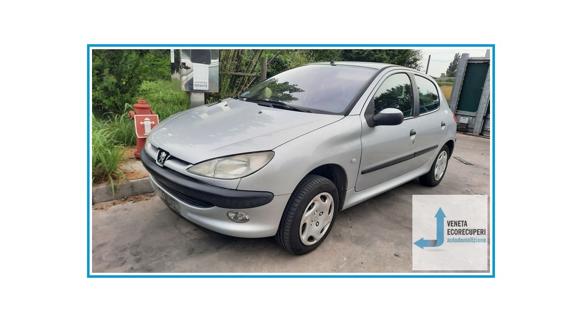 PEUGEOT 206  del 2002 parti usate e ricambi