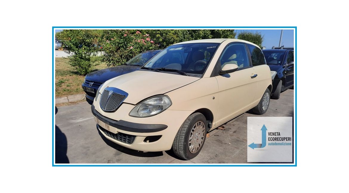 LANCIA YPSILON TE del 2006 parti usate e ricambi