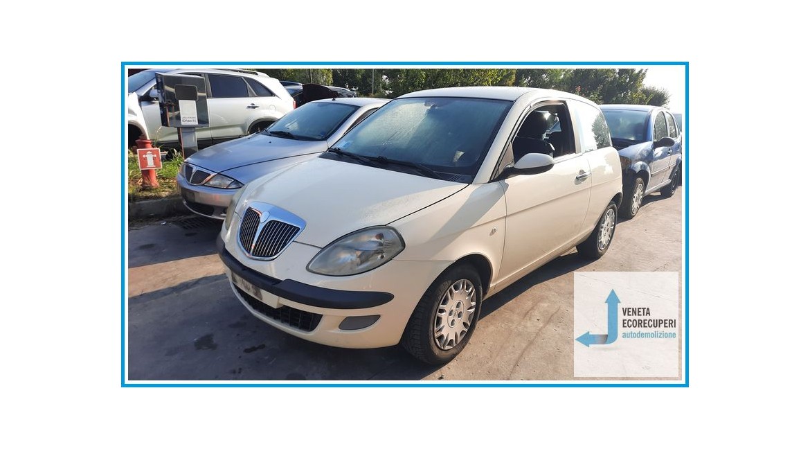 LANCIA YPSILON TE del 2004 parti usate e ricambi