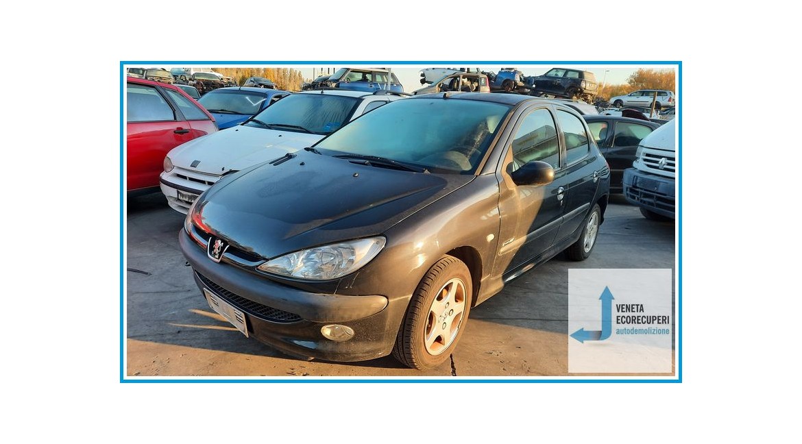 PEUGEOT 206  del 2004 parti usate e ricambi